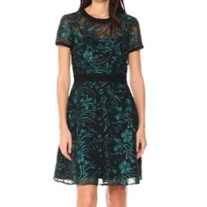 Rachel Roy Fit and Flare Corded Lace Dress